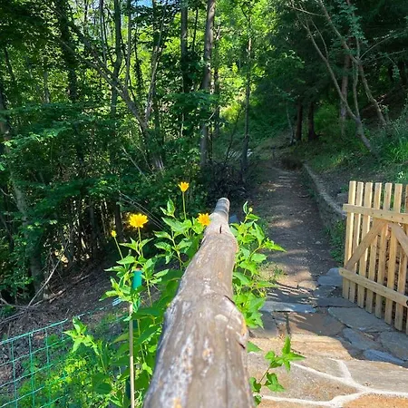 Casa Antonia Feriehus *